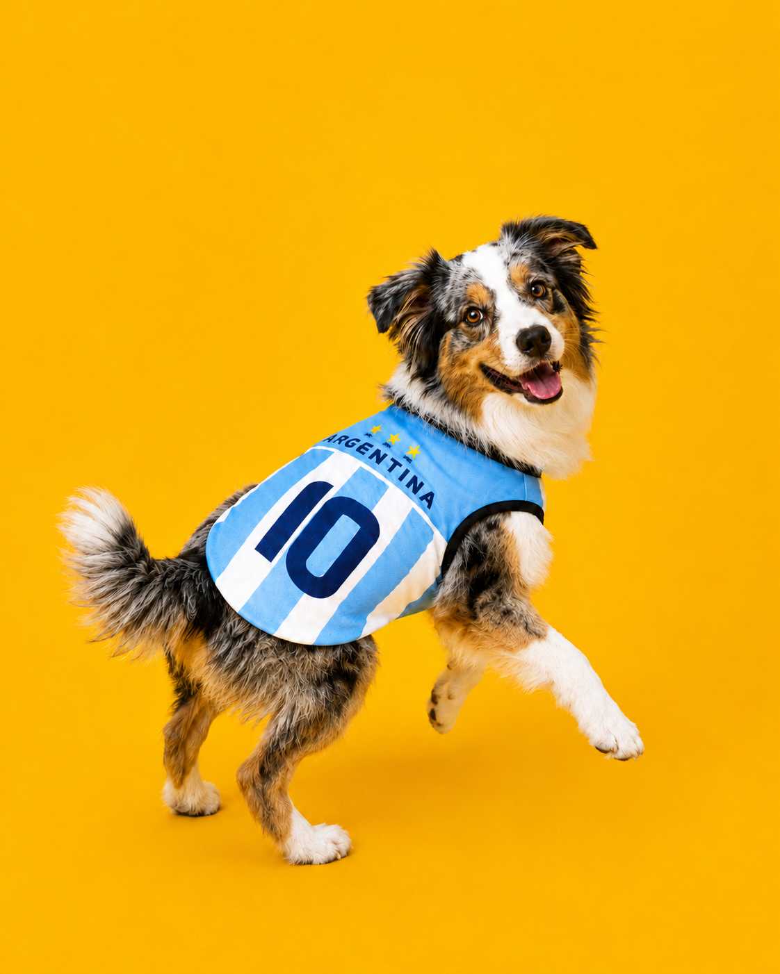 Fußballtrikot - ARGENTINIEN