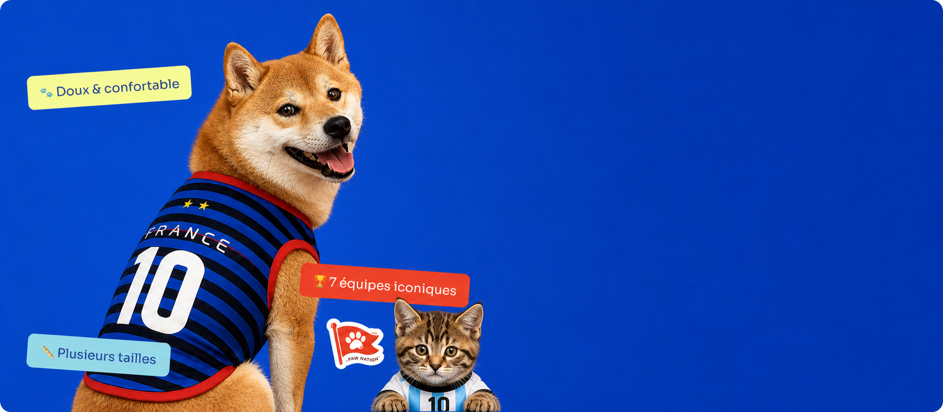 Chien Paw Nation avec maillot France